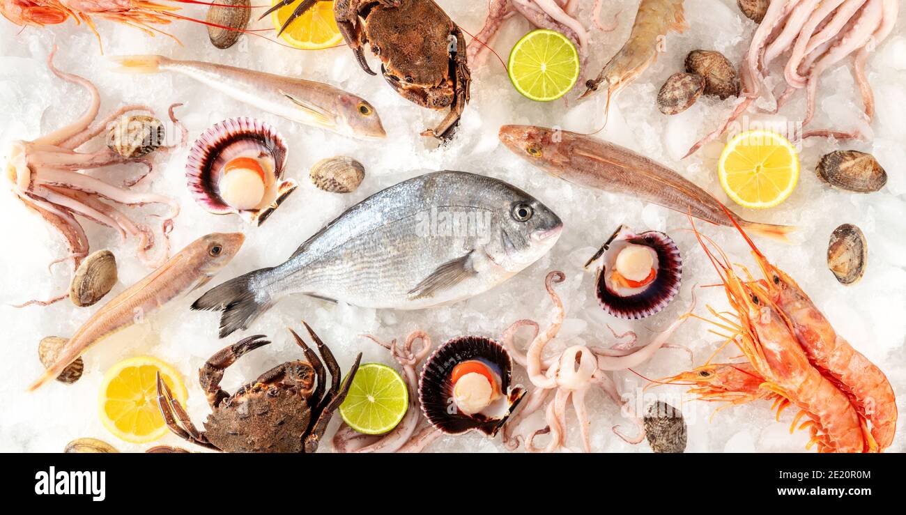 Panorama sur la variété de poissons et de fruits de mer, plan suspendu sur fond blanc, sur glace, avec citrons et limes Banque D'Images