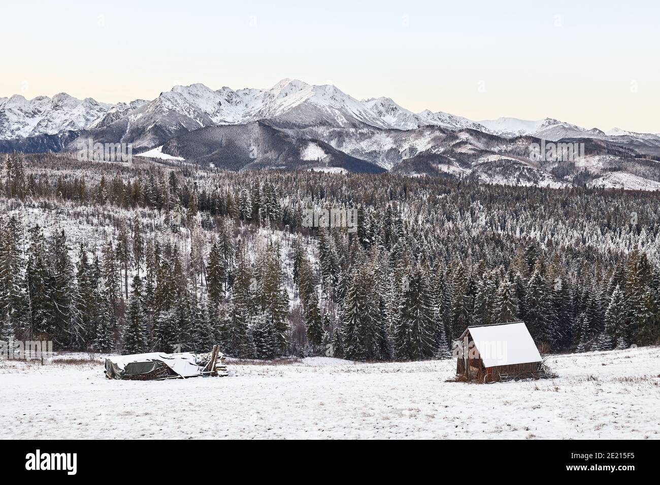 Paysage de montagne pittoresque en hiver, montagnes Tatra, Pologne. Banque D'Images