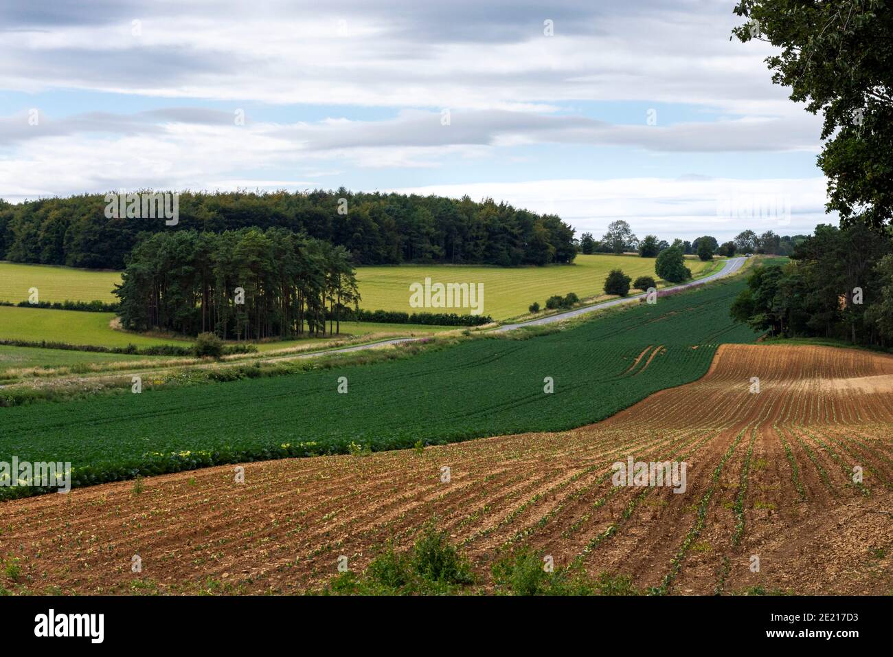 Un paysage de campagne d'été, Worcestershire, Angleterre, Royaume-Uni Banque D'Images