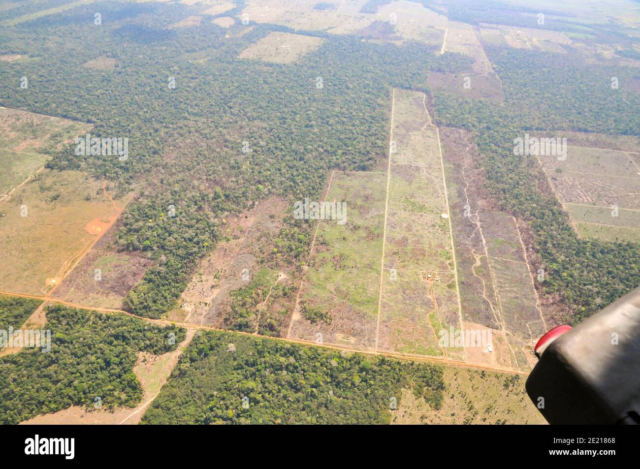 Vue aérienne de la forêt tropicale amazonienne brésilienne montrant les zones de déforestation Banque D'Images