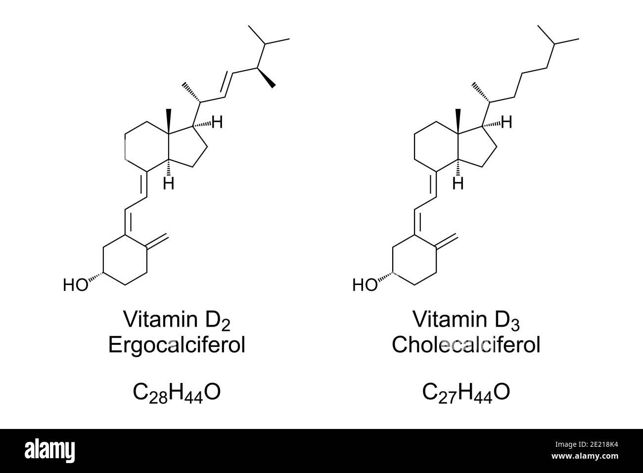 Vitamine D2 et vitamine D3, structure chimique et formule squelettique. Ergocalciférol et Cholecalciférol, également connus sous le nom de calciférol. Banque D'Images