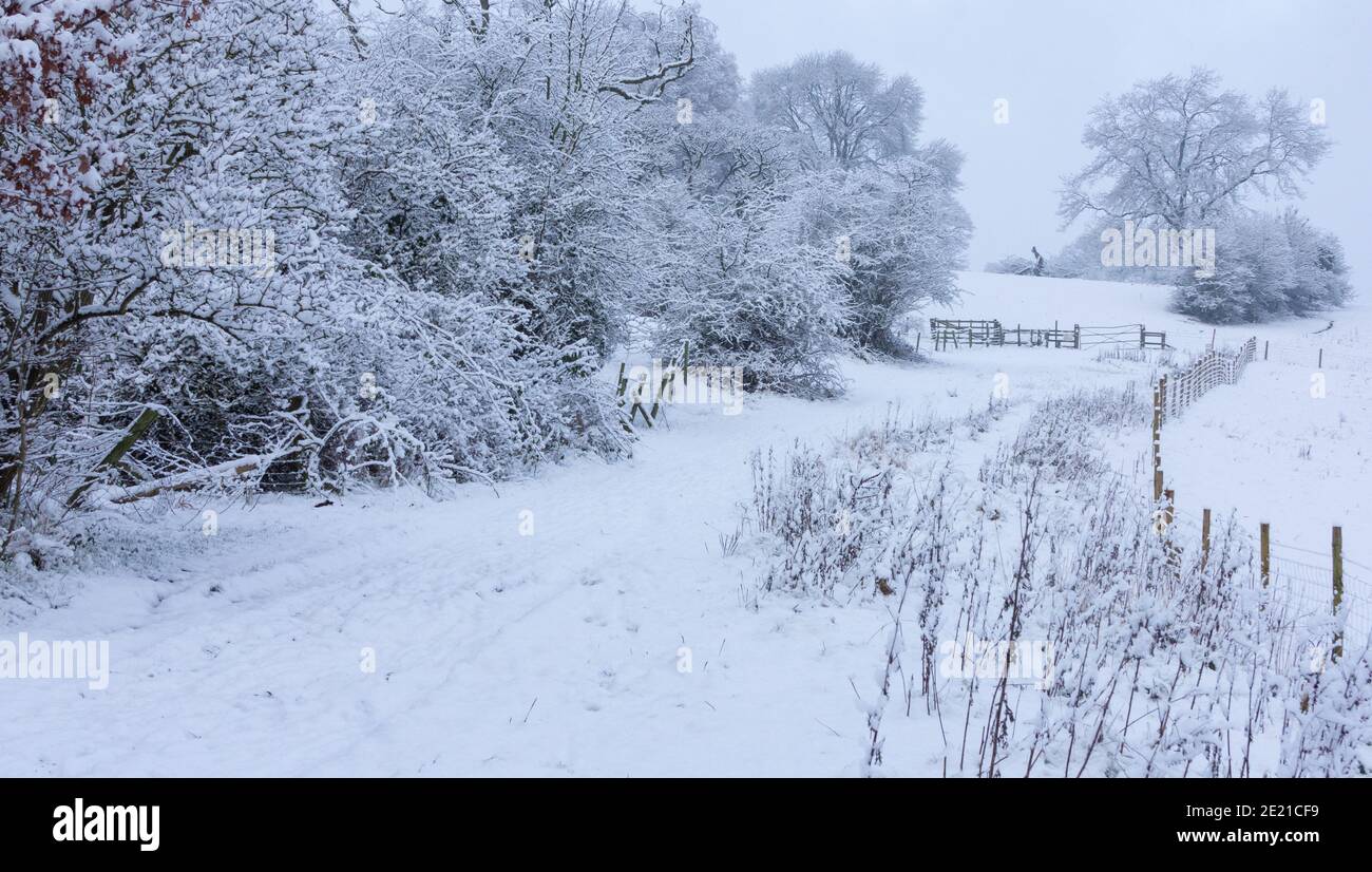 Hiver dans le Yorkshire, Angleterre. Les champs et les arbres de Baildon, dans le Yorkshire, sont couverts de neige. Banque D'Images