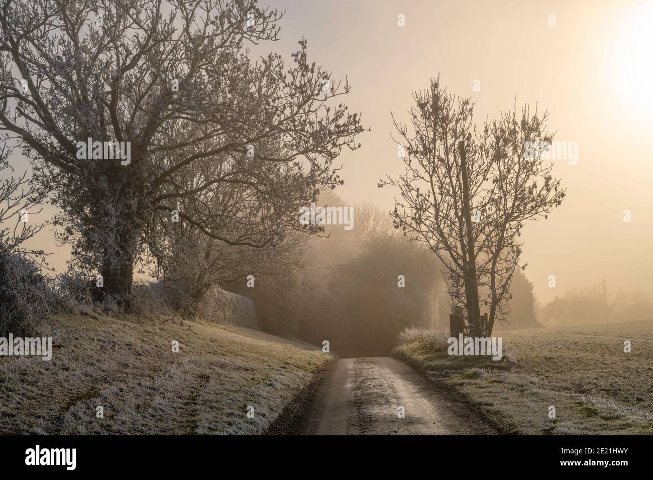 Une voie brumeuse et glaciale dans les Cotswolds du Nord, en Angleterre. Banque D'Images