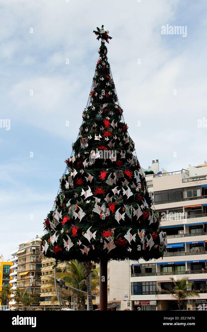 Île des Canaries arbre de Noël Espagne Banque D'Images