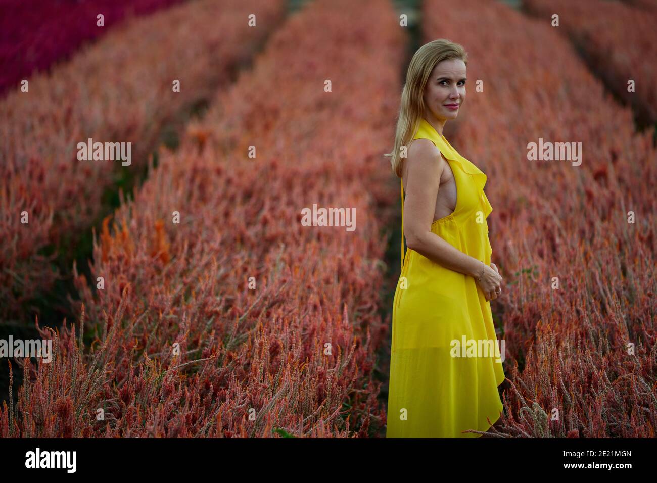 Un beau modèle posant dans un champ plein de fleurs profil latéral. Banque D'Images