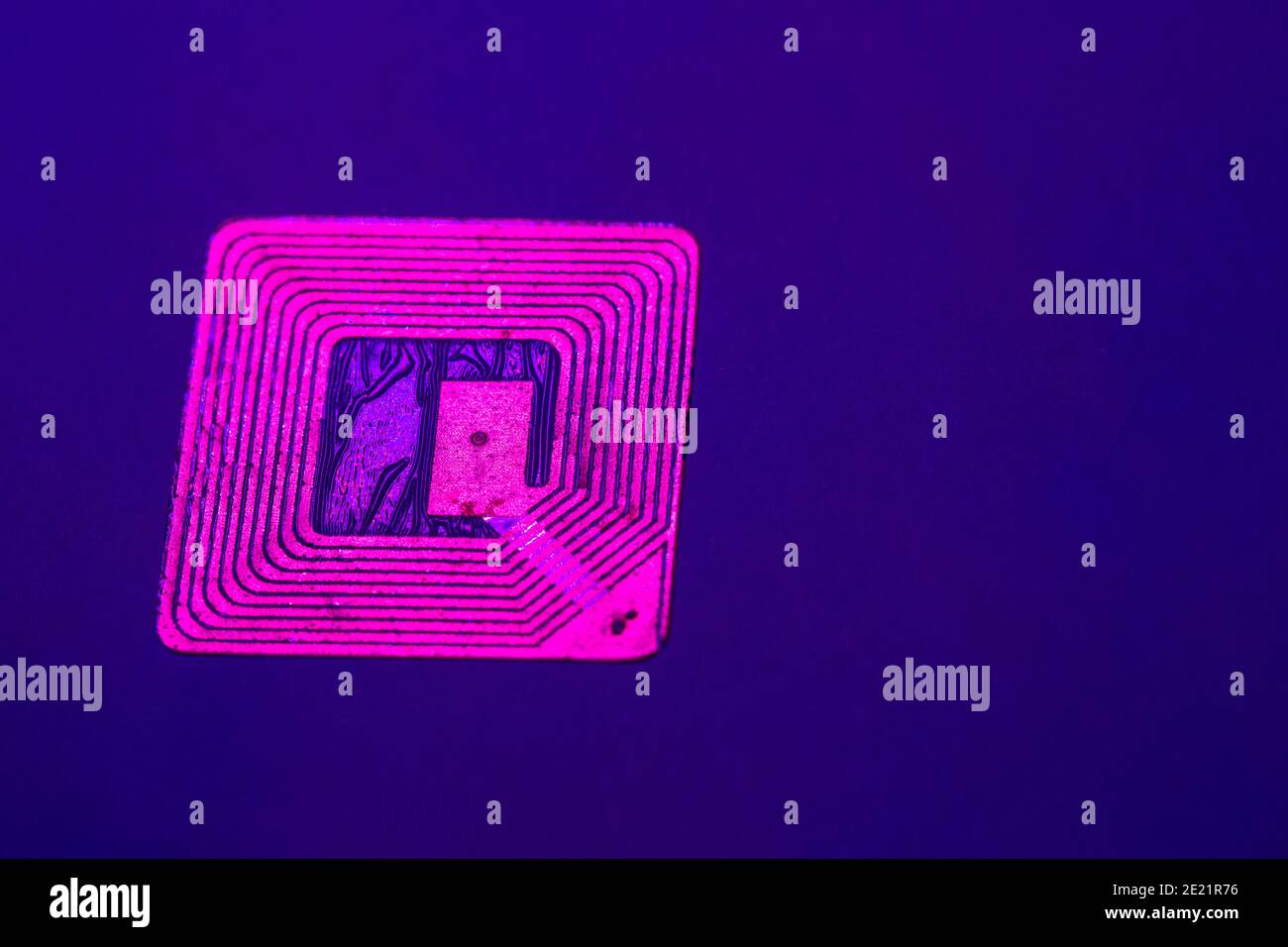 Gros plan de l'étiquette RFID sous lumière ultraviolette. Banque D'Images
