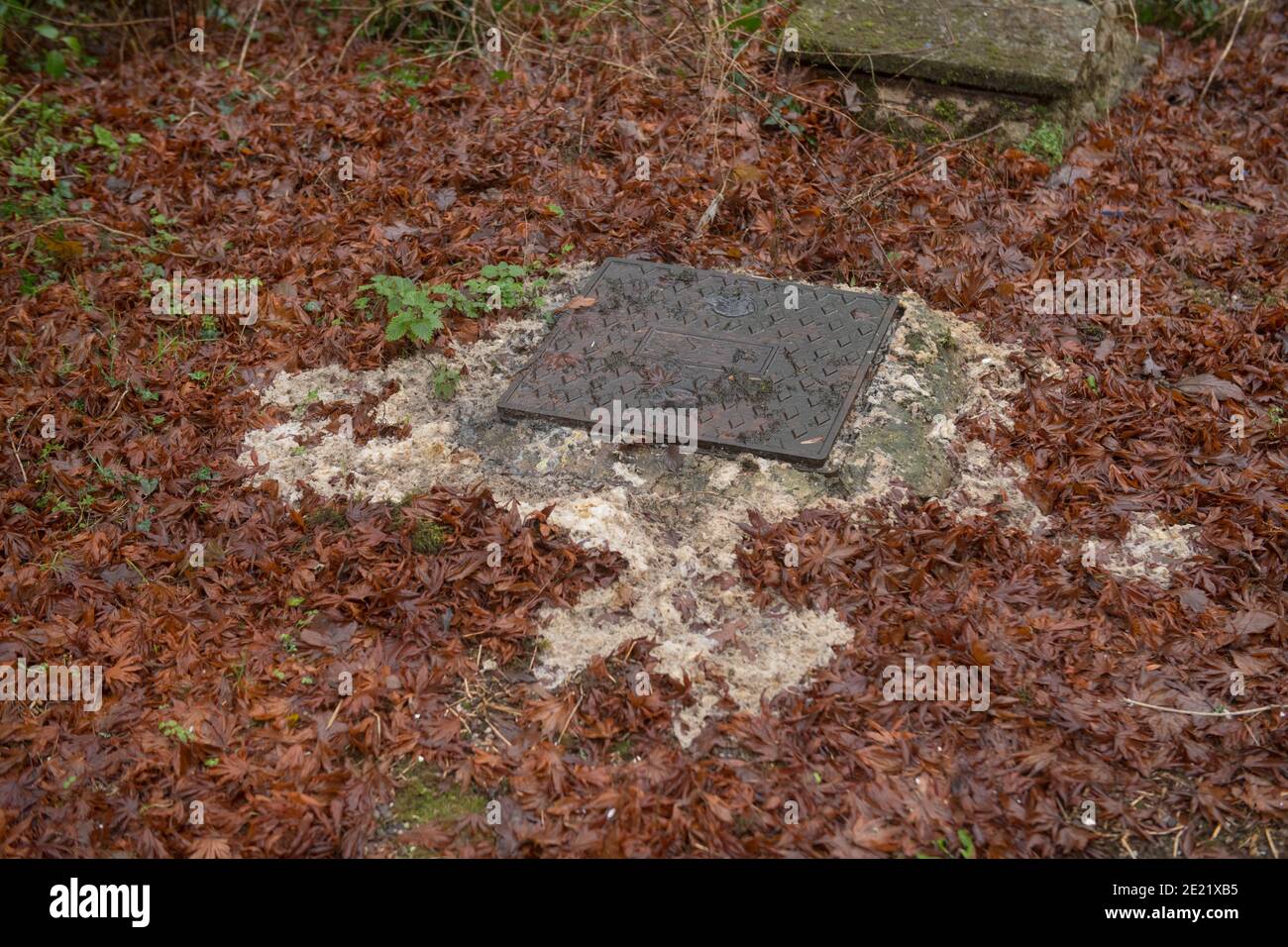 Eaux usées débordant de la couverture Manhole d'un réservoir septique dans un jardin de campagne de Cottage dans le Devon rural, Angleterre, Royaume-Uni Banque D'Images