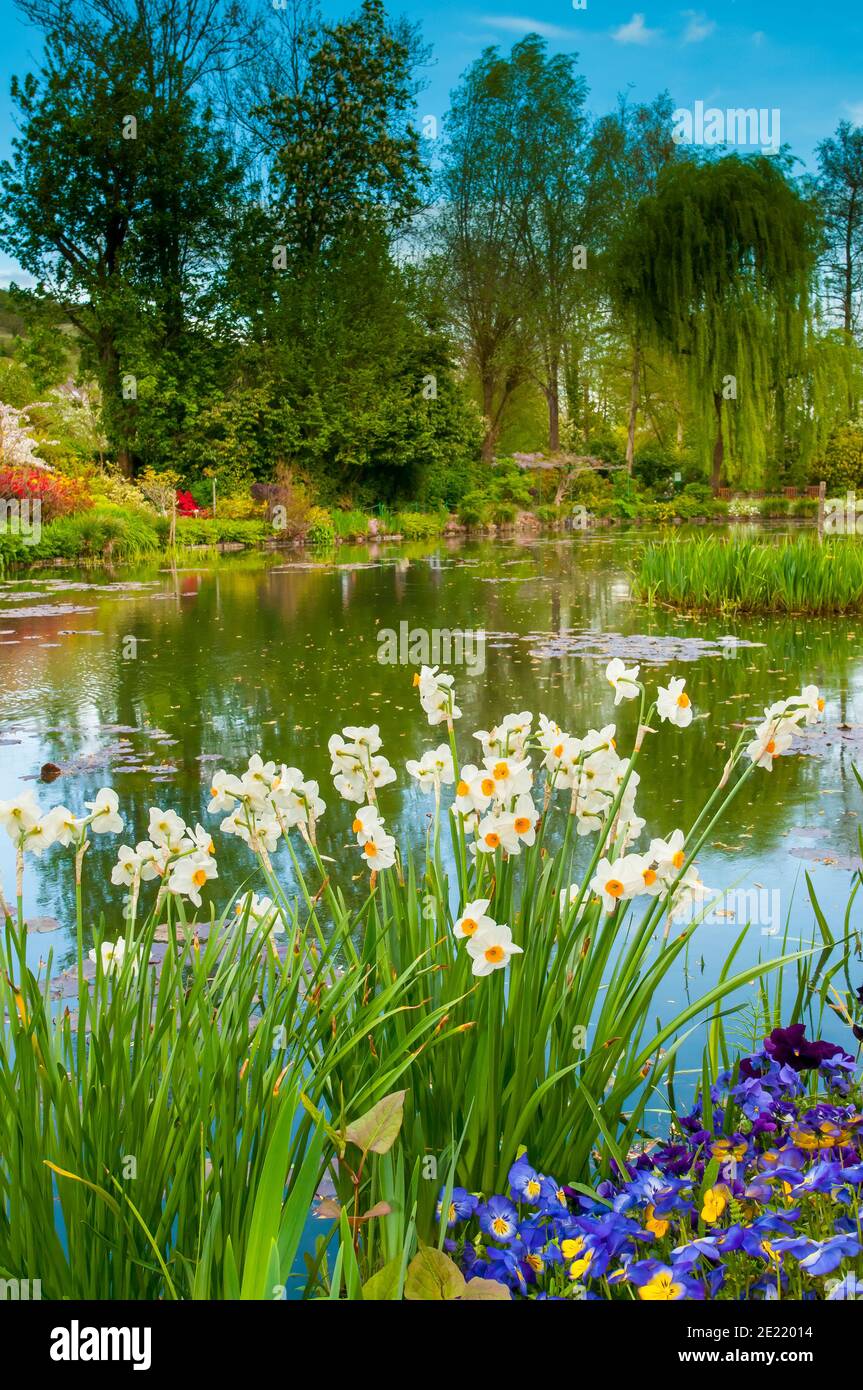 Le jardin de Monet, Giverny ; fleurs ; Normandie ; France ; Eure ; Europe ; printemps ; tulips Banque D'Images