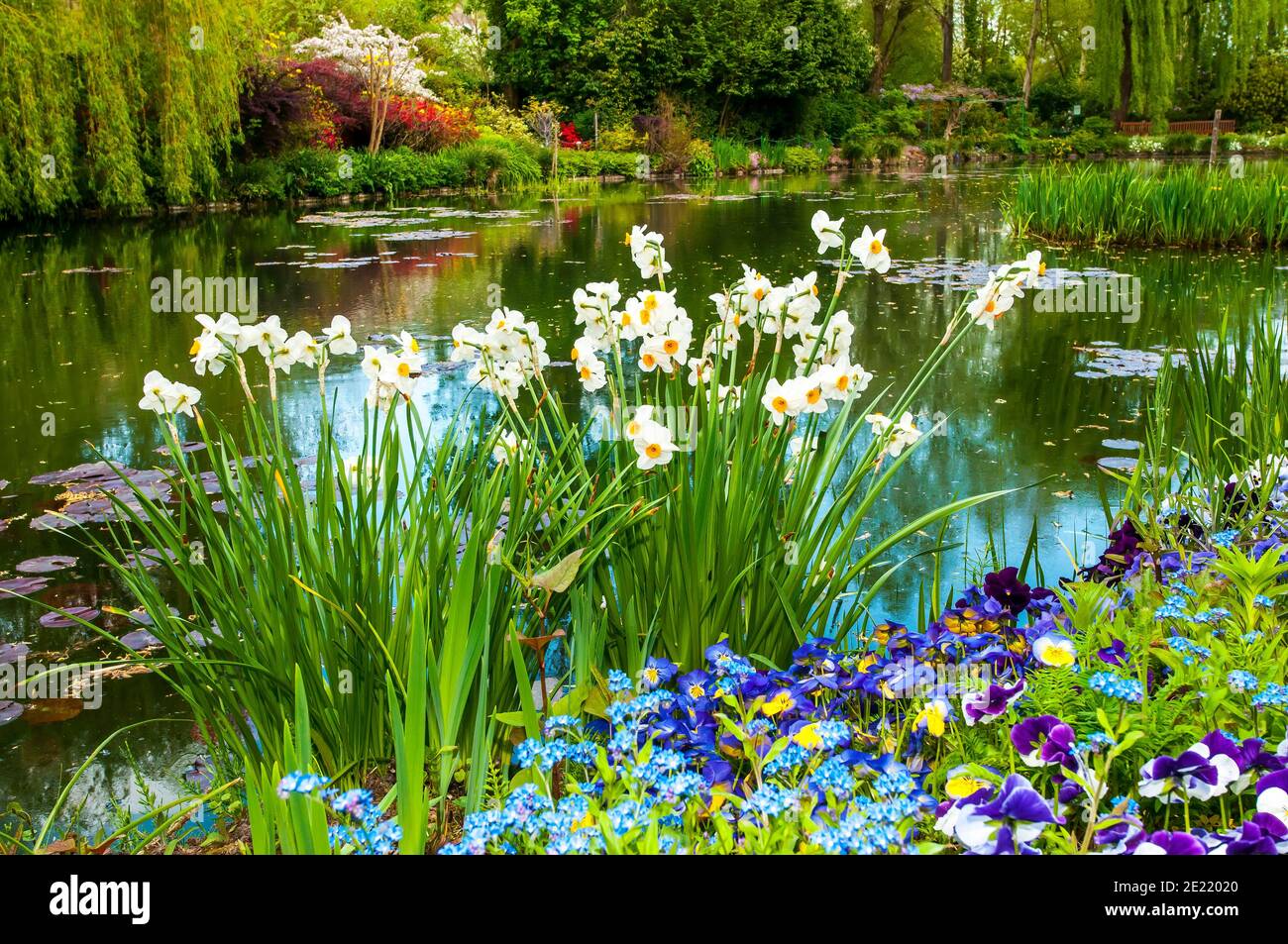 Le jardin de Monet, Giverny ; fleurs ; Normandie ; France ; Eure ; Europe ; printemps ; tulips Banque D'Images