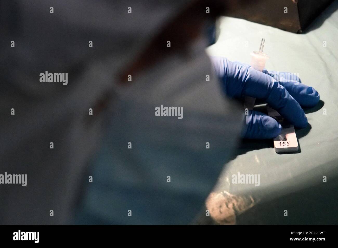 Italie, région Toscane, Arezzo, 09 janvier 2021 : les travailleurs médicaux font l'écouvillon de test Covid-19. Testé dans le cadre de la projection centrale de la Croix-Rouge italienne pour Covid-19, Banque D'Images