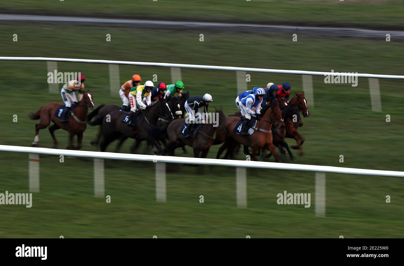 Les coureurs et les cavaliers dans le Sky Bet Money Back comme Cash Standard Open NH Flat Race à l'hippodrome de Doncaster. Banque D'Images