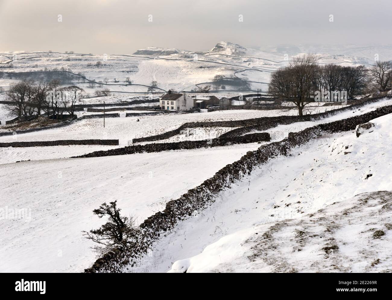 Le paysage hivernal couvert de neige à Winskill Stones, Langcliffe, parc national de Yorkshire Dales, Royaume-Uni. La cicatrice de Smaarsett est le crag rocheux à l'horizon. Banque D'Images