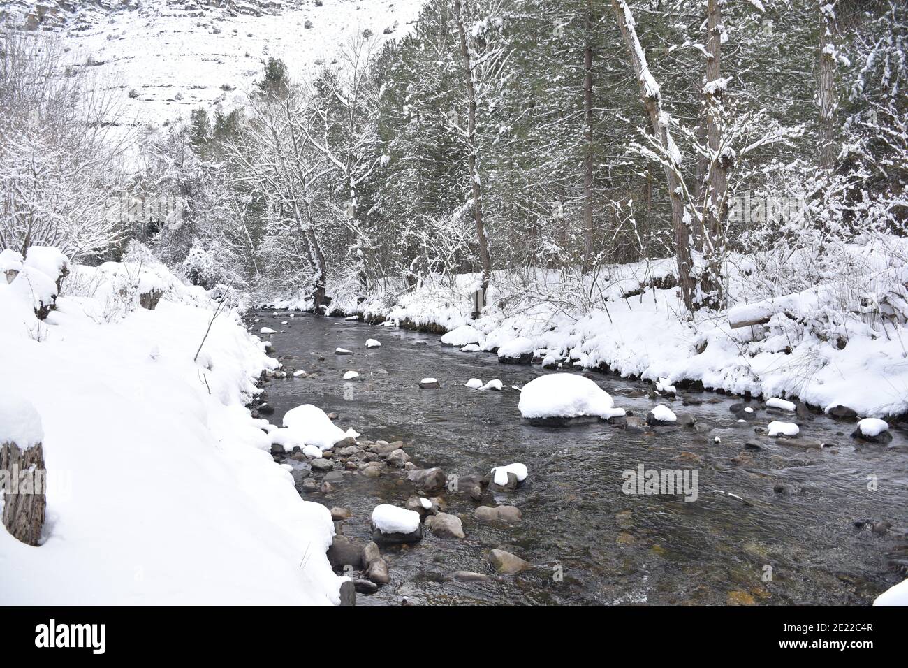 Chute de neige dans la vallée de Cidacos après le passage de la tempête de neige appelée Filomena. Vue sur la rivière, les rives, la montagne et la forêt de pins. Banque D'Images