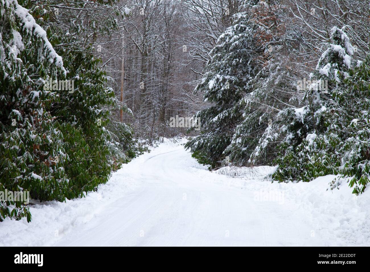 Une route de campagne enneigée dans les montagnes Pocono de Pennsylvanie. Banque D'Images