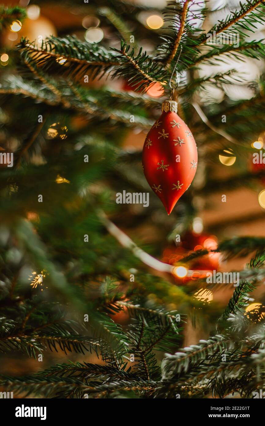 Sapin de Noël avec boule rouge brillante. Décoration de Noël festive suspendue sur un arbre flou d'arrière-plan.scène décorative traditionnelle de vacances. La veille de Noël des Banque D'Images
