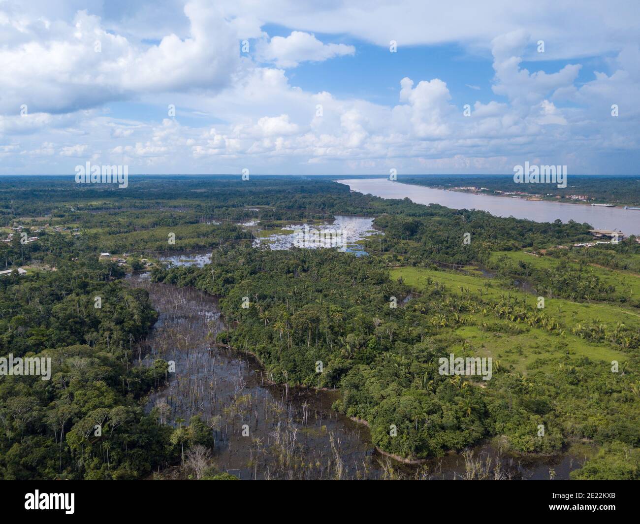 Vue aérienne de drone sur la rivière de Madère, le lac d'igapo igarape, le paysage de la forêt amazonienne à Rondonia, Brésil. Concept d'écologie, déforestation. Banque D'Images
