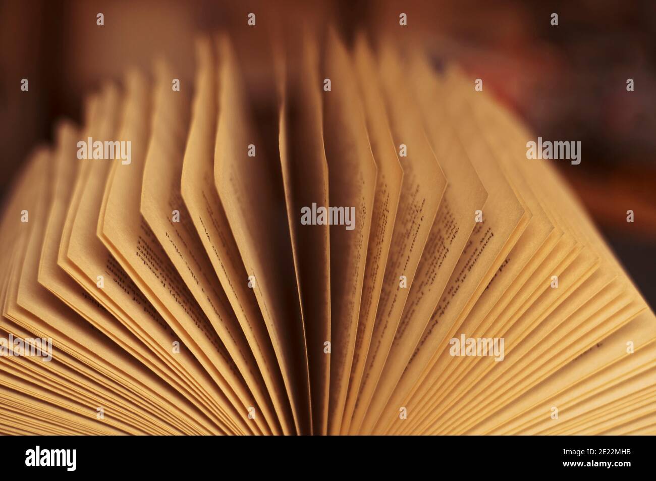 Livre avec de vieilles pages jaunrées Banque D'Images