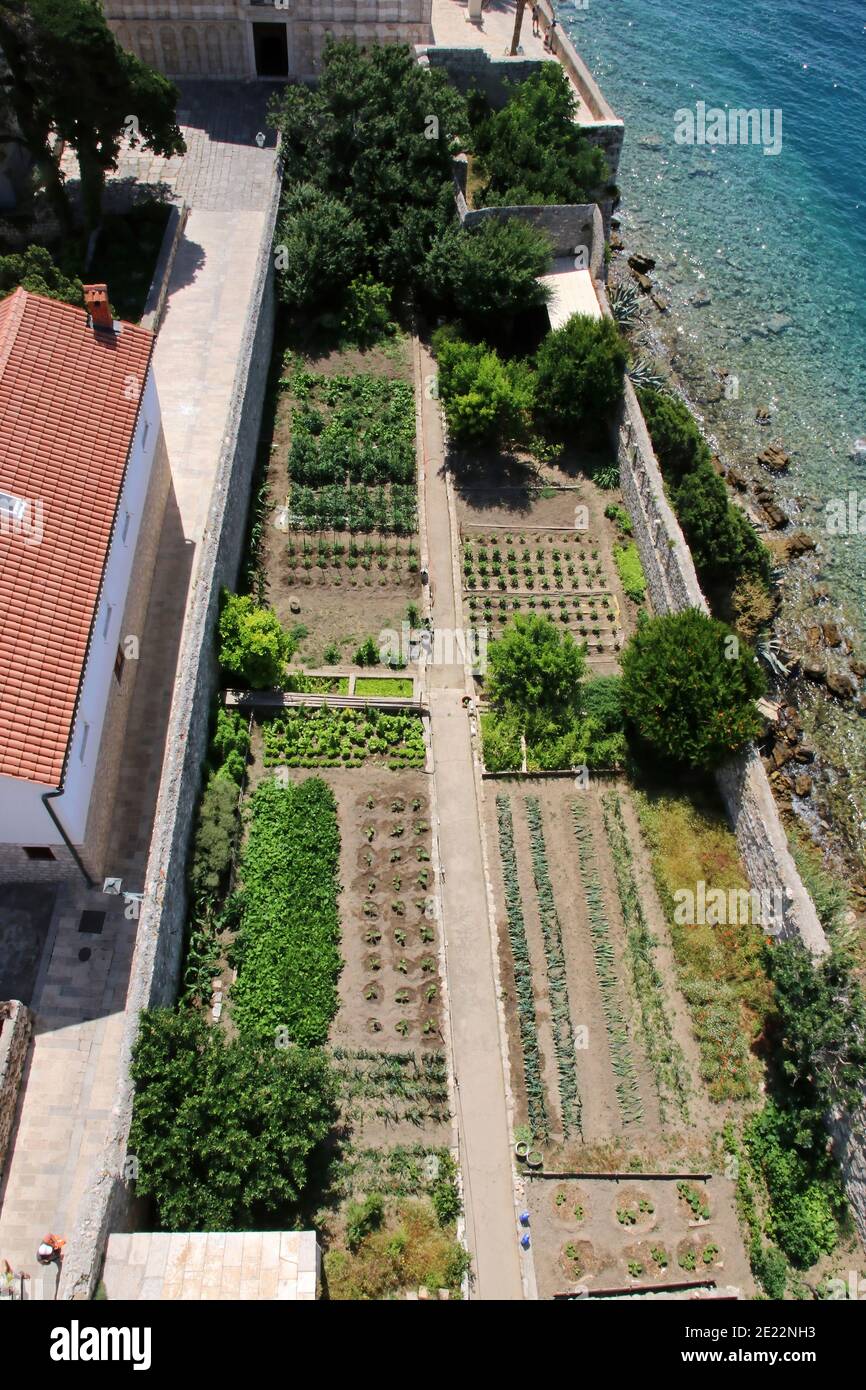 Jardin du monastère dans la vieille ville, ville de Rab, île de Rab, Croatie Banque D'Images