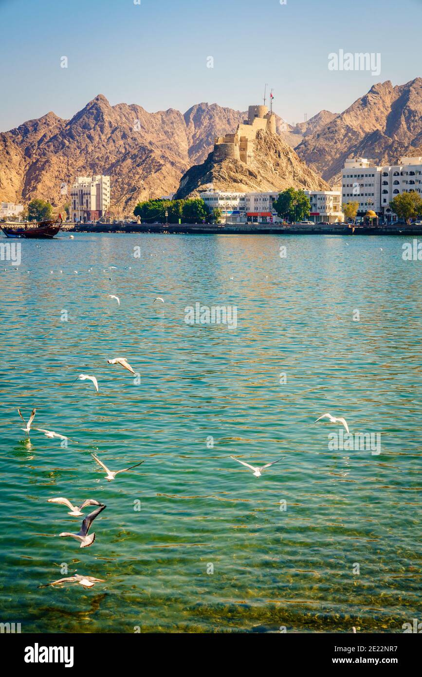 Vue sur la Corniche de Mutrah depuis le port du Sultan Qaboos à Muscat, Oman Banque D'Images