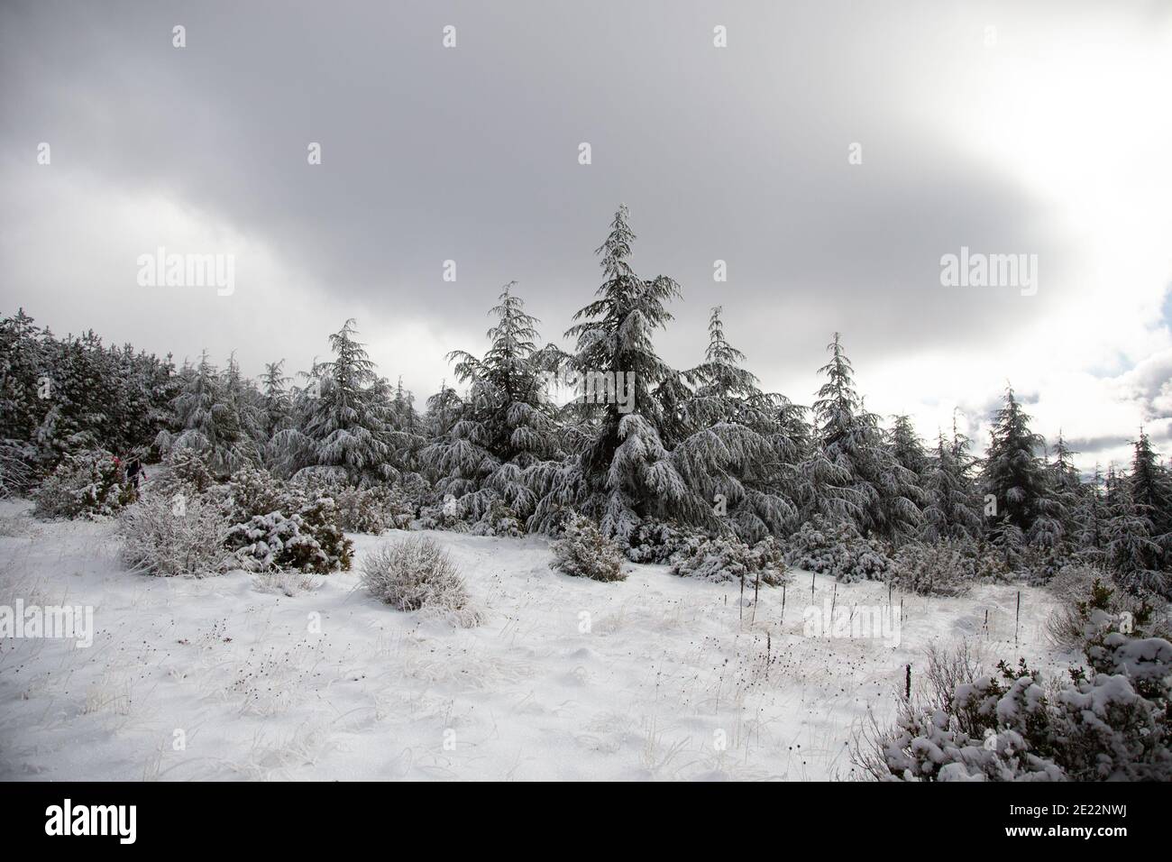 Scènes d'hiver dans les montagnes de Provence, France. Banque D'Images