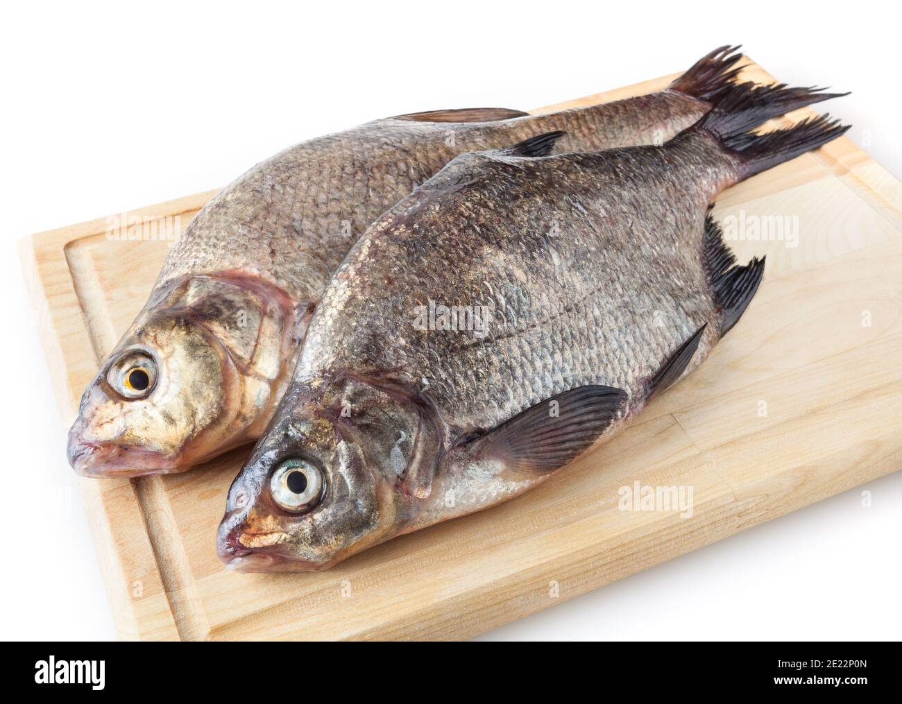 Couvre-culasse commun sur planche à découper isolée sur fond blanc. Poissons d'eau douce Banque D'Images