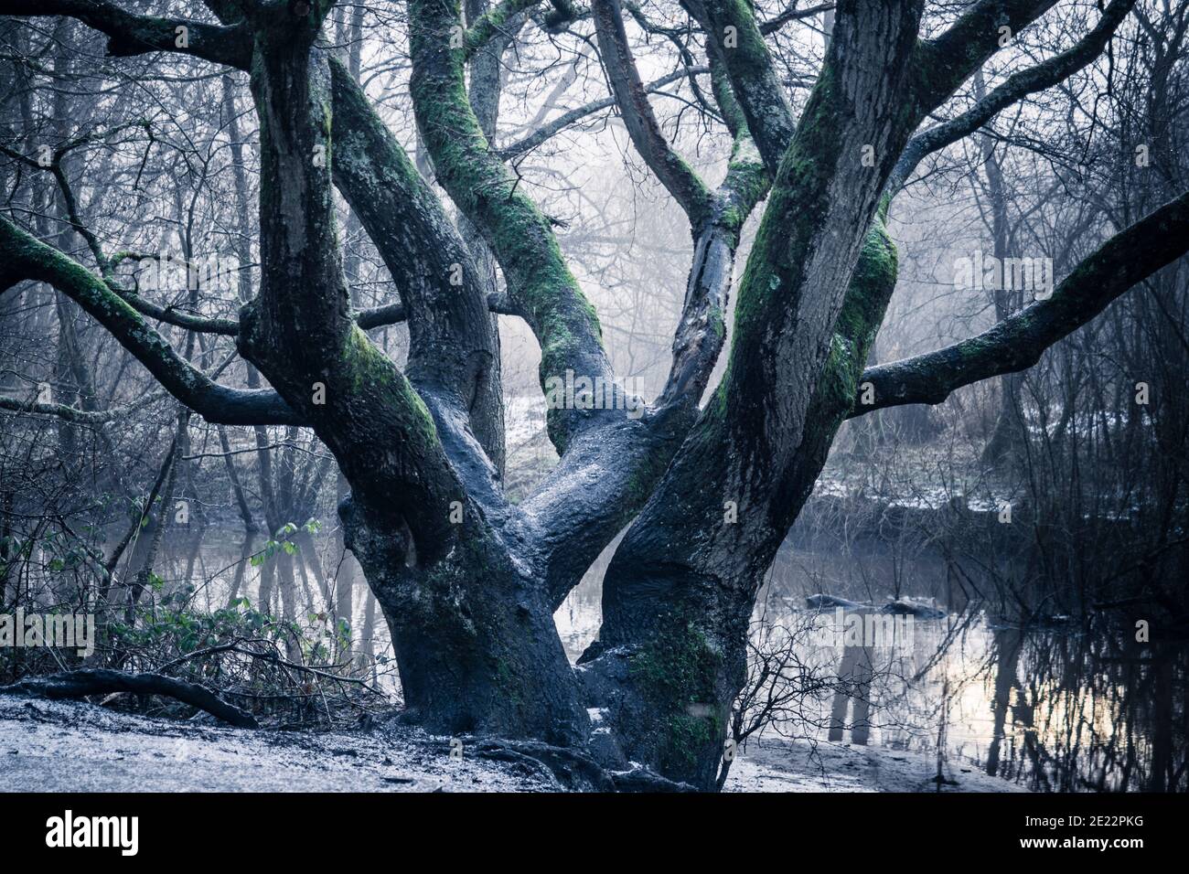 La vallée de Sankey suit le cours du premier canal d'Angleterre, le canal de Sankey, et s'étend sur 15 kilomètres de St Helens à travers Warrington jusqu'à Widnes Banque D'Images