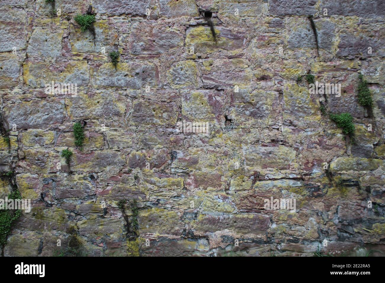 texture d'un mur de grès rouge avec de la mousse Banque D'Images