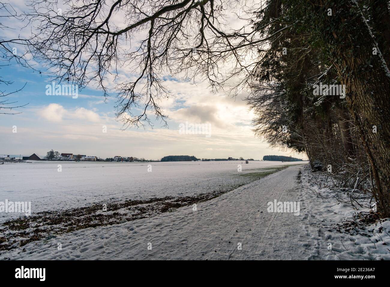 Faites une randonnée dans le ravin couvert de neige à Schmaleg près de Ravensburg Souabe supérieur Banque D'Images