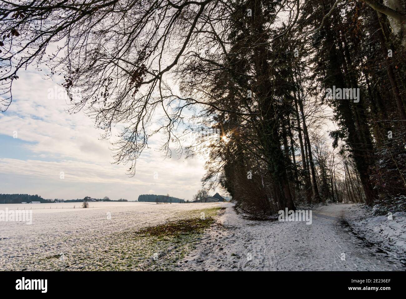 Faites une randonnée dans le ravin couvert de neige à Schmaleg près de Ravensburg Souabe supérieur Banque D'Images