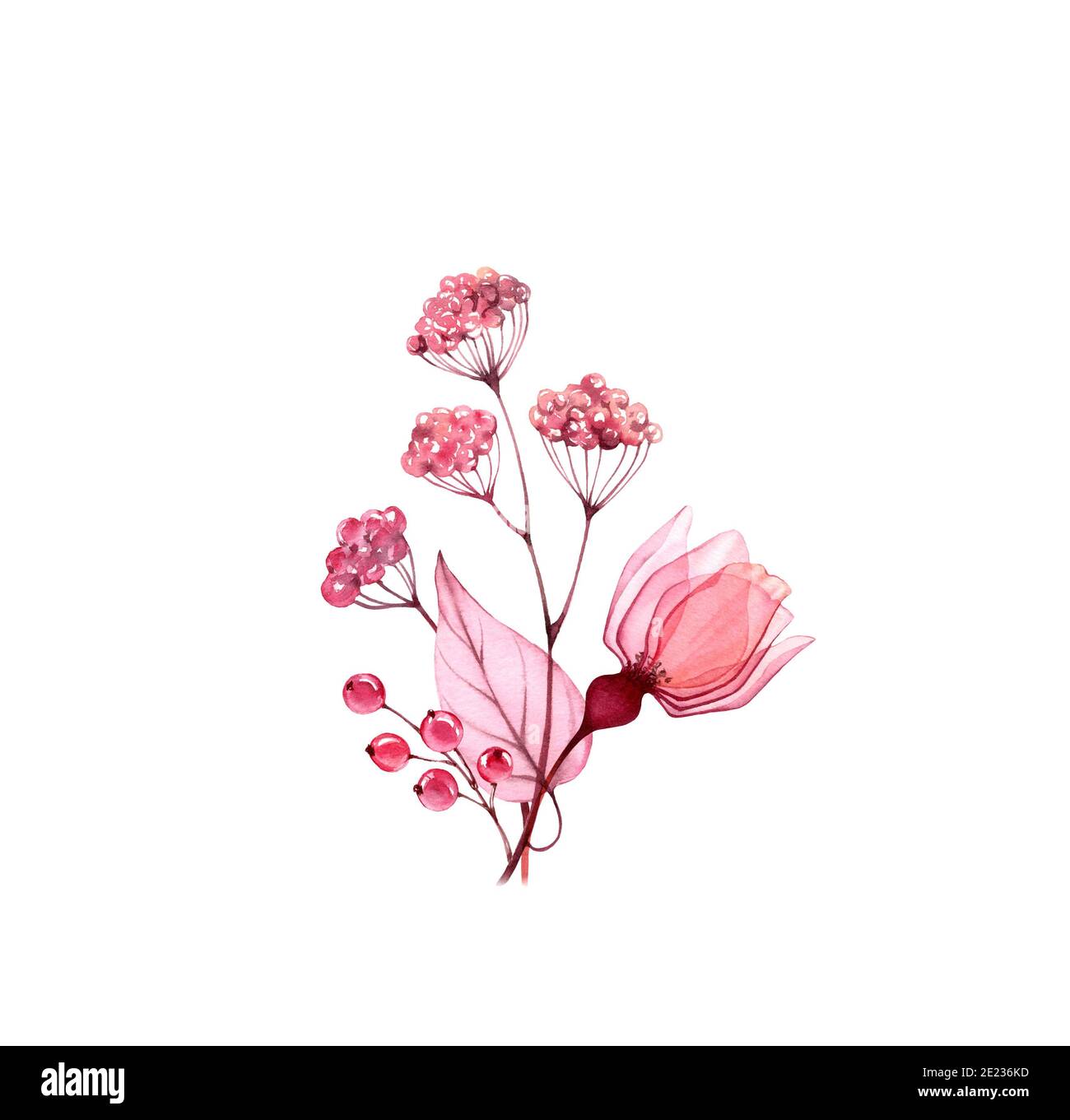 Bouquet d'automne aquarelle. Fleur rose avec feuilles et baies rouges isolées sur blanc. Œuvres d'art fleuries peintes à la main avec pétales détaillés. Botanique Banque D'Images