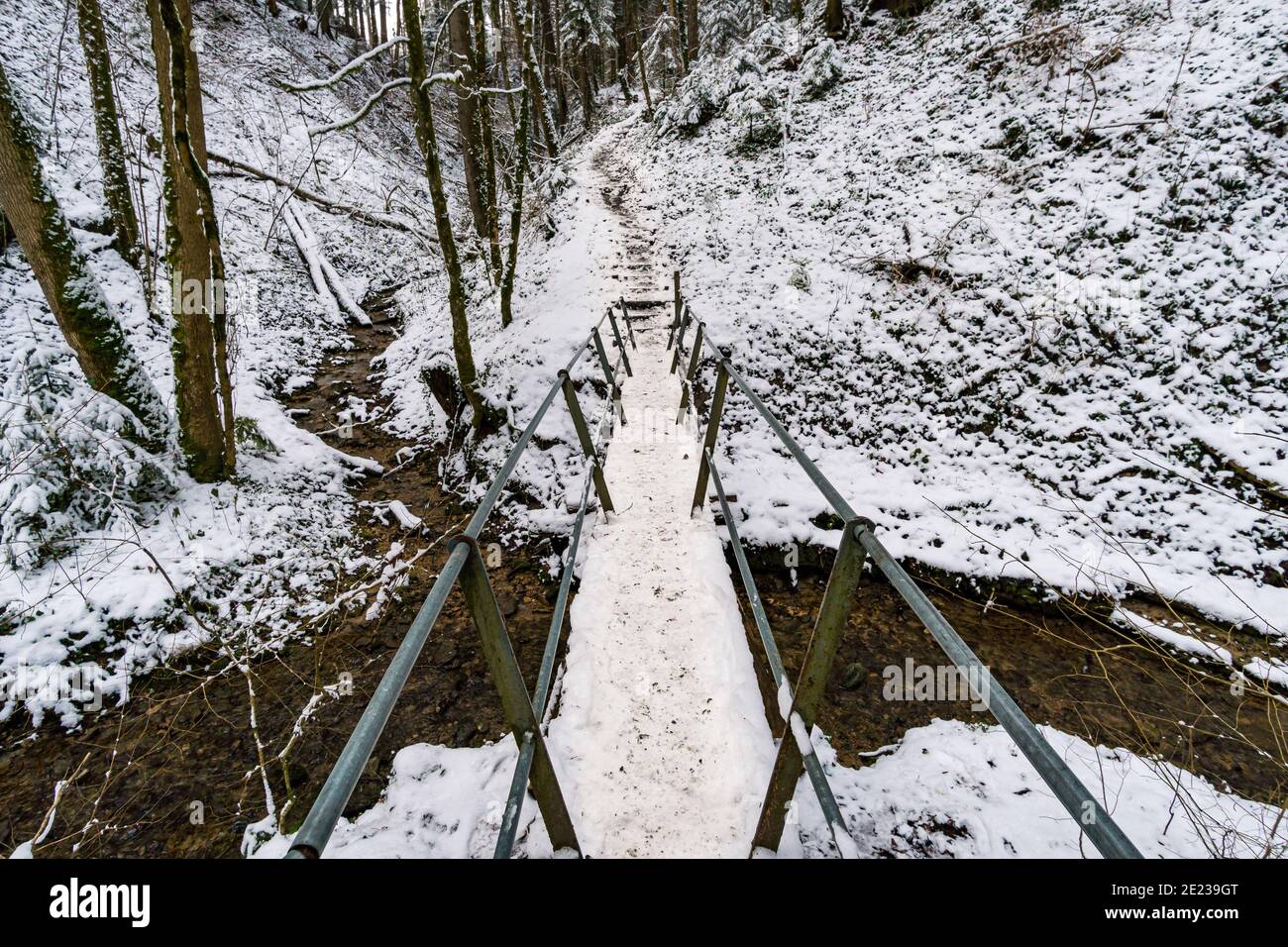 Faites une randonnée dans le ravin couvert de neige à Schmaleg près de Ravensburg Souabe supérieur Banque D'Images