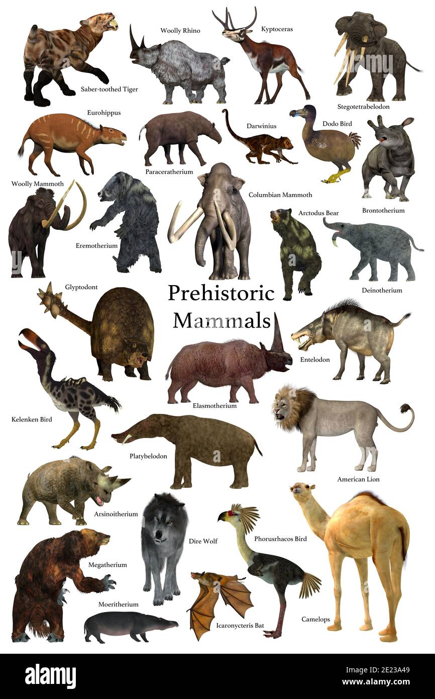 Une collection de certains des mammifères les plus connus qui vivaient — free download