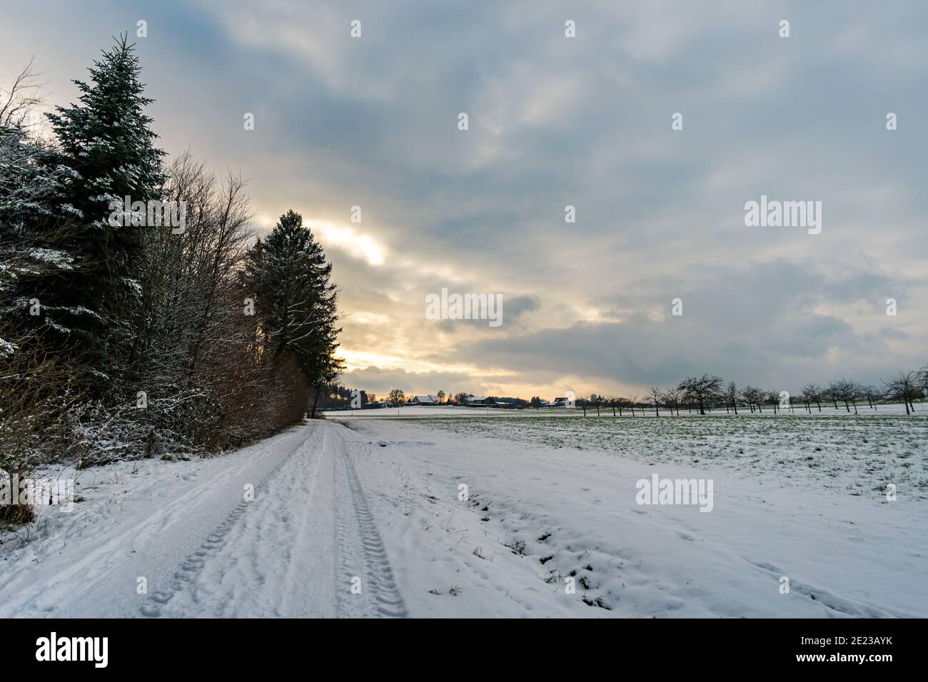 Faites une randonnée dans le ravin couvert de neige à Schmaleg près de Ravensburg Souabe supérieur Banque D'Images