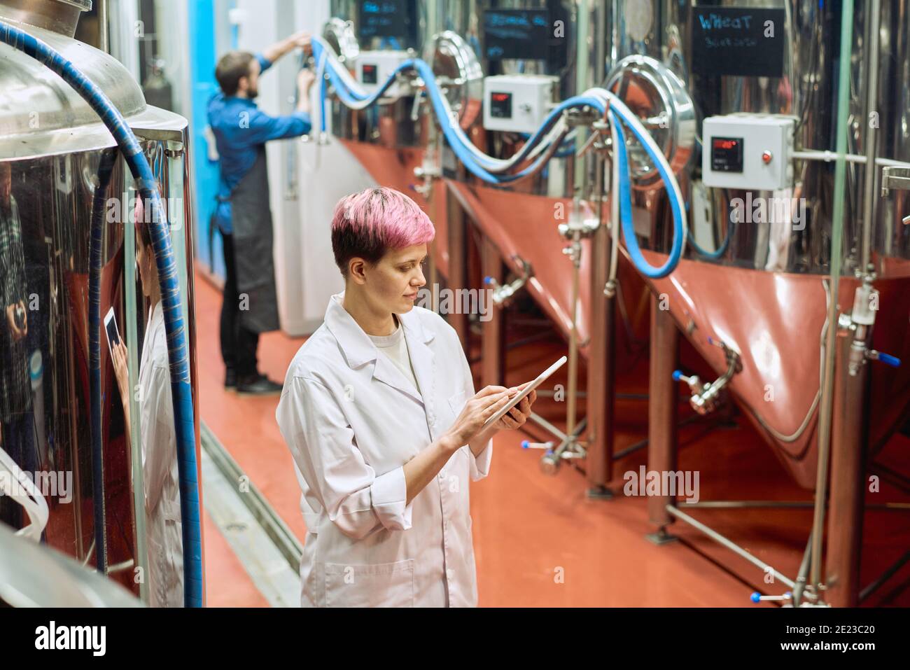 Jeune femme experte en brasserie qui étudie les données dans une tablette numérique tout en se tenant par de nouveaux équipements pour la production de bière contre l'homme employé Banque D'Images
