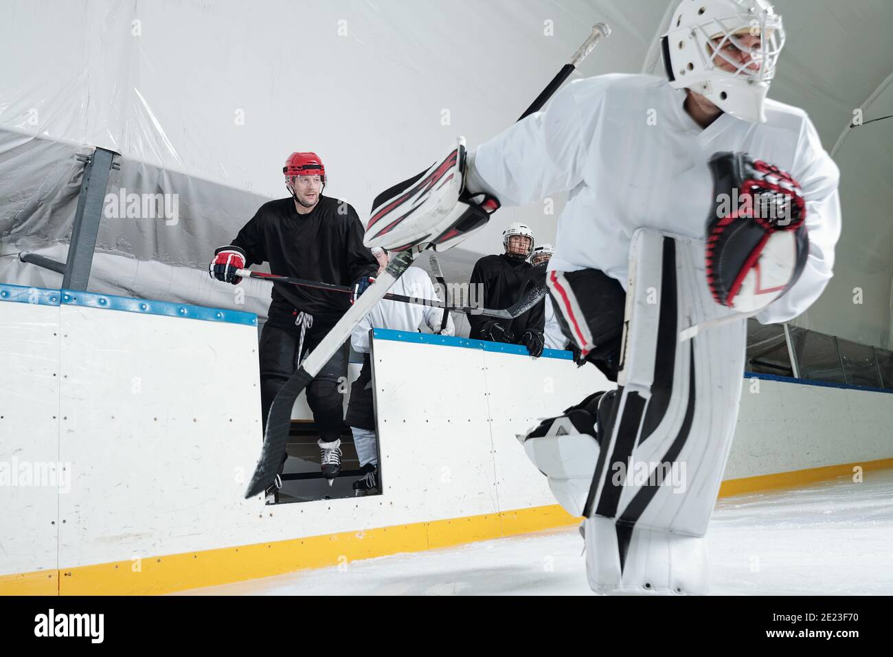 Joueurs de hockey professionnels en uniforme de sport, casques, gants et patins allant à la patinoire pour jouer sur le grand stade tout en tenant des bâtons Banque D'Images
