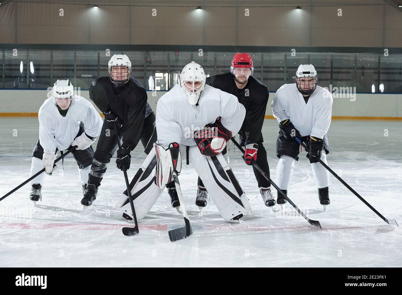 Joueurs de hockey professionnels en gants, patins et casques se pliant vers l'avant tout en se tenant sur la patinoire pendant l'entraînement avant de jouer au stade Banque D'Images