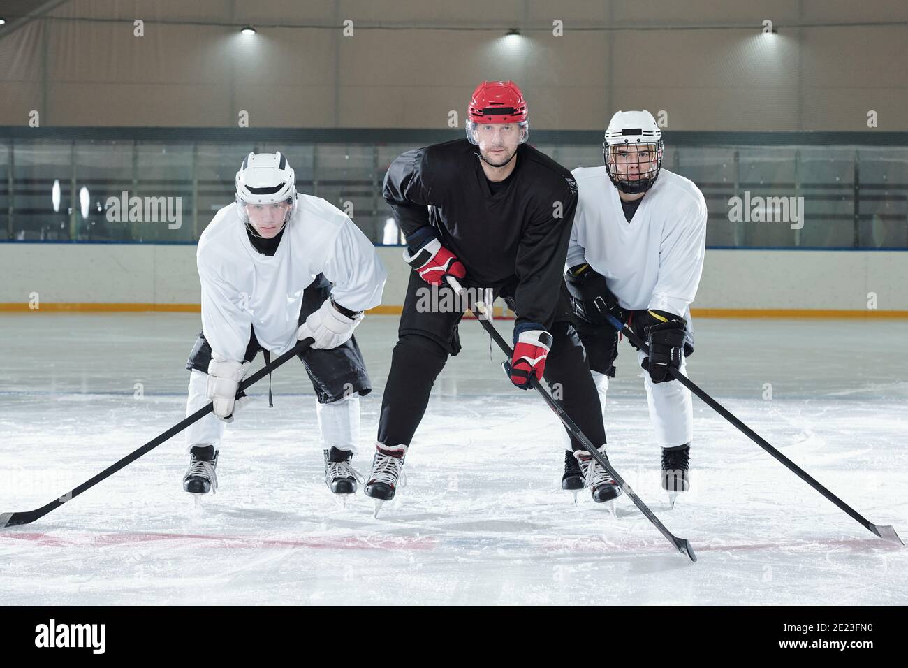 Trois joueurs de hockey professionnels en uniforme, gants, patins et casques se plient vers l'avant tout en se tenant sur la patinoire pendant l'entraînement avant le jeu Banque D'Images