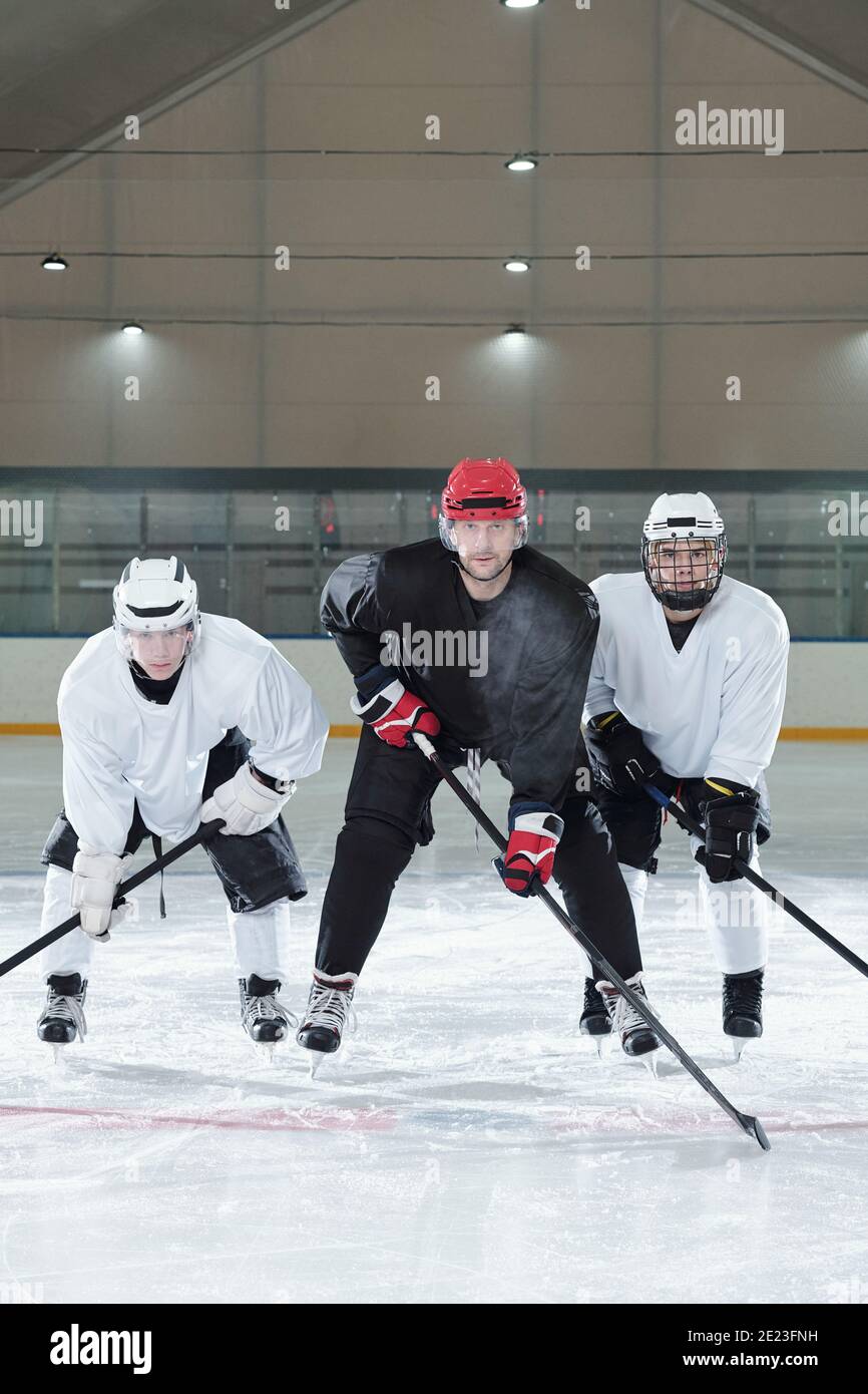 Trois joueurs de hockey contemporains en uniforme sportif, gants, patins et casques de protection se plient vers l'avant tout en s'entraîner sur la patinoire avant de jouer Banque D'Images