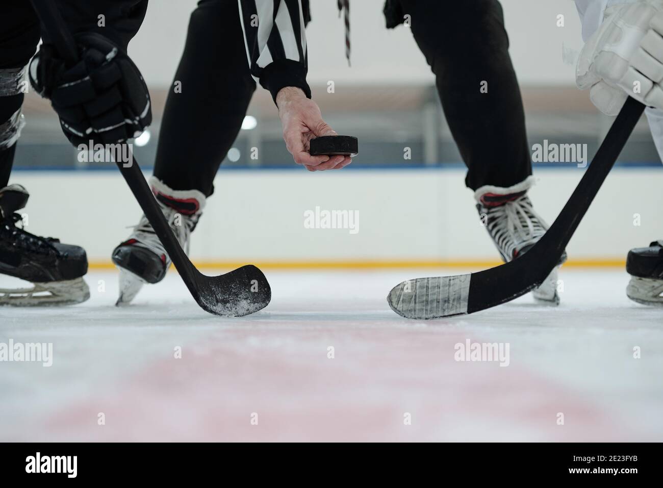 Main de l'arbitre tenant le palet sur la patinoire avec deux joueurs avec des bâtons debout autour et attendant le moment à prenez-le Banque D'Images