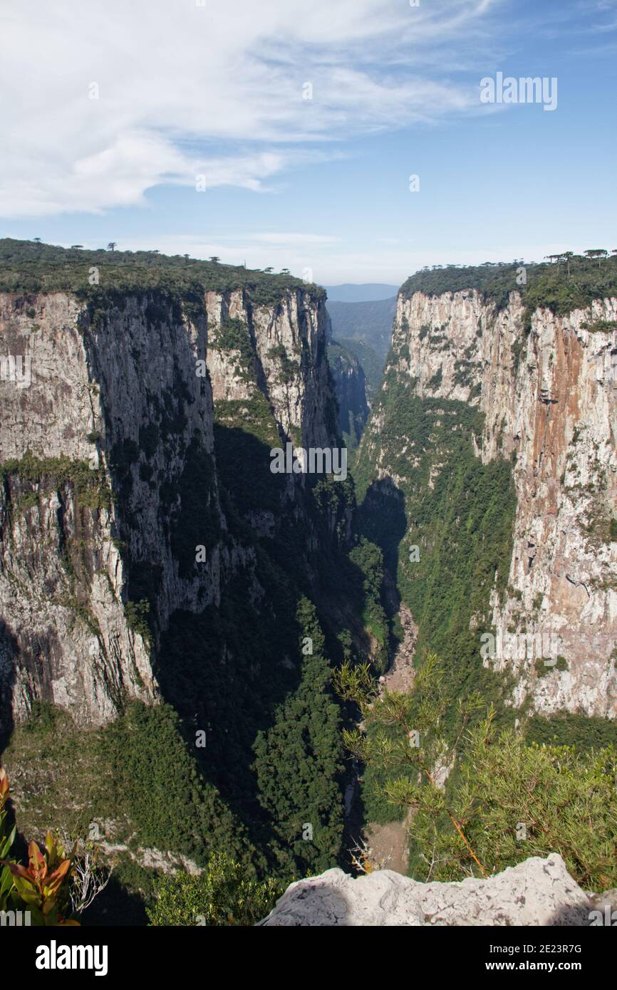 Photo verticale de montagnes couvertes de forêt sous un ciel bleu Banque D'Images