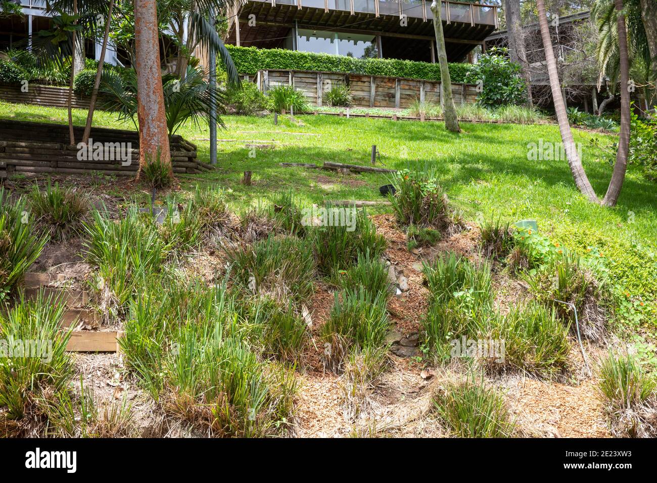 Maison de Sydney et jardin vert sur un site en pente, Clareville, Sydney, Australie Banque D'Images