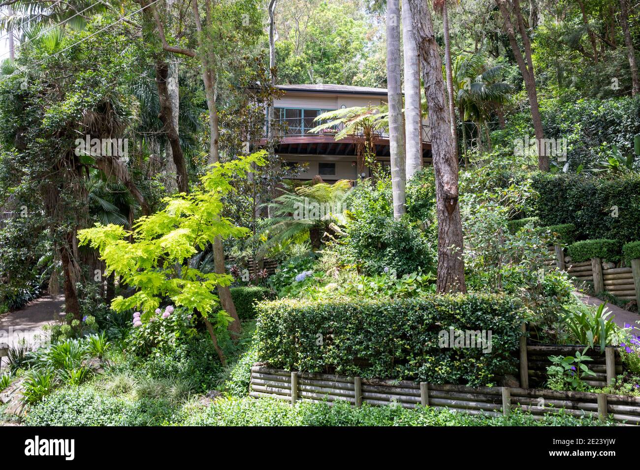 Jardin vert australien dans une maison privée dans le nord de Sydney Plages,Clareville,Australie Banque D'Images