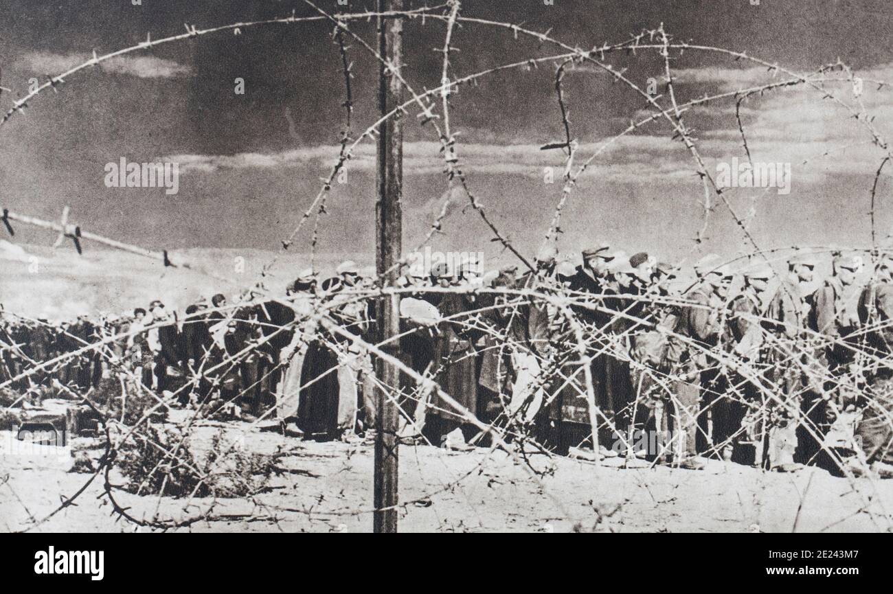La lutte en Afrique du Nord se poursuit sans relâche. Une colonne de prisonniers allemands arrive dans un camp derrière les lignes anglaises. Banque D'Images La lutte en Afrique du Nord se poursuit sans relâche. Une colonne de prisonniers allemands arrive dans un camp derrière les lignes anglaises. Banque D'Images