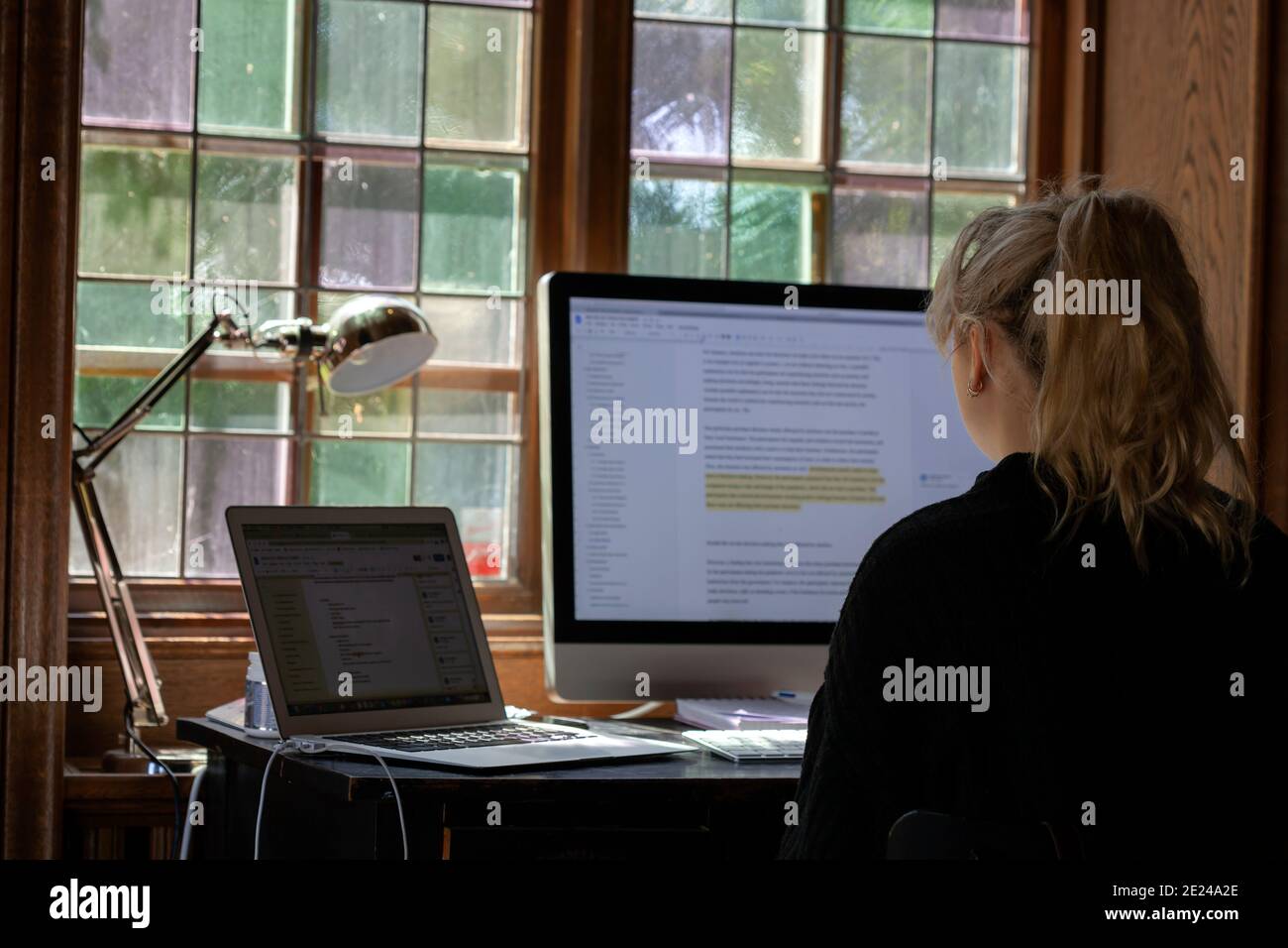 Femme utilisant un ordinateur de bureau à la maison Banque D'Images