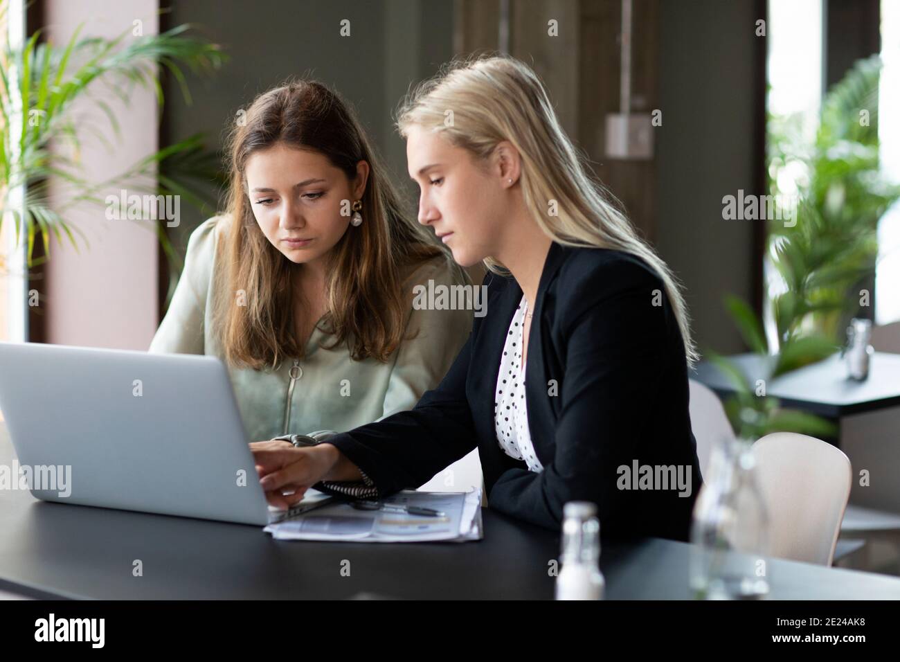 Femmes qui travaillent dans le bureau Banque de photographies et d ...