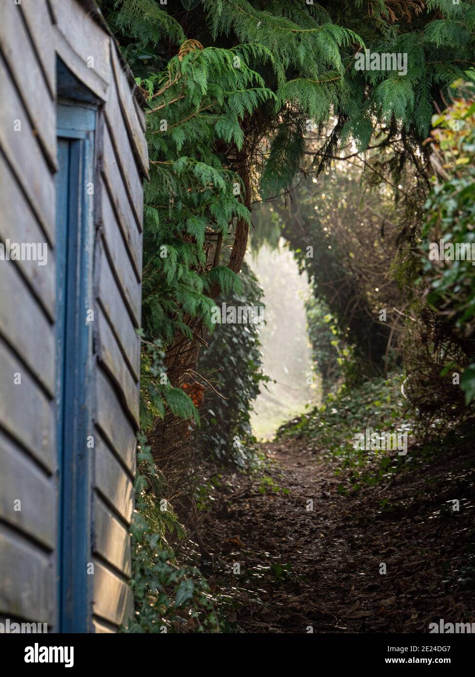 Une promenade en montée de soleil tôt le matin à Westbury Leigh, Wiltshire, Angleterre, Royaume-Uni. Banque D'Images