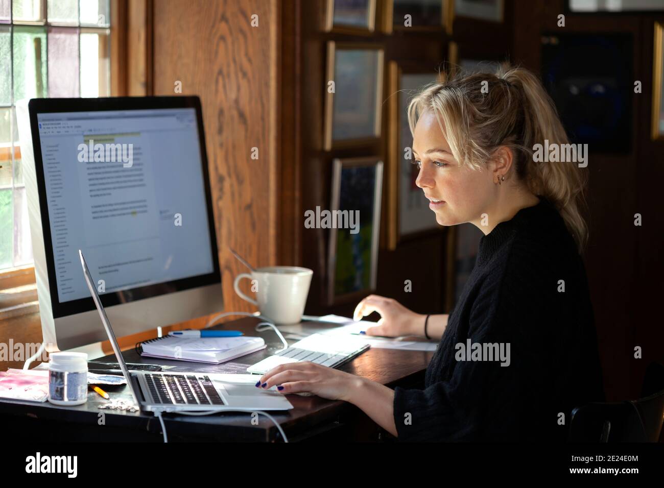 Femme à l'aide d'ordinateur à la maison Banque D'Images