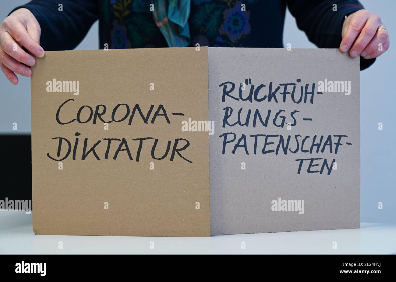 Darmstadt, Allemagne. 12 janvier 2021. Nina Janich, linguiste à la tu Darmstadt et porte-parole du jury de la campagne "Unword of the Year", a deux panneaux en carton dans son institut avec les inscriptions "Rückführungspatenschätten" et "Corona-Diktatur". Pour 2020, le jury a choisi une paire d'unwords. Dans le cadre des propositions pour l'épée de l'année, la pandémie de Corona était le thème dominant. Credit: Arne Dedert/dpa/Alay Live News Banque D'Images