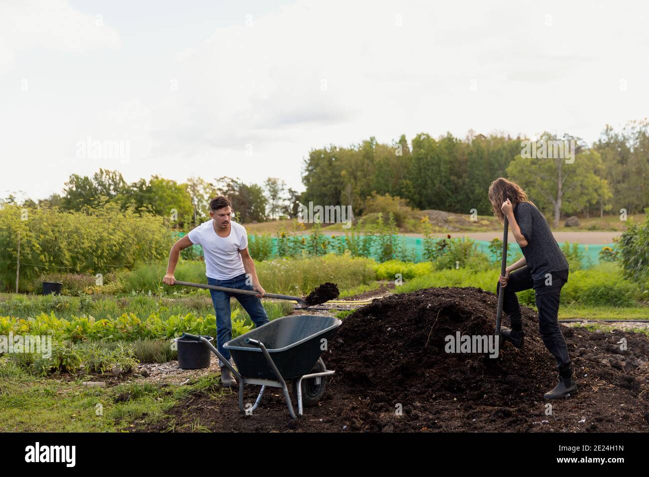 Jeune couple qui creuse dans le jardin Banque D'Images