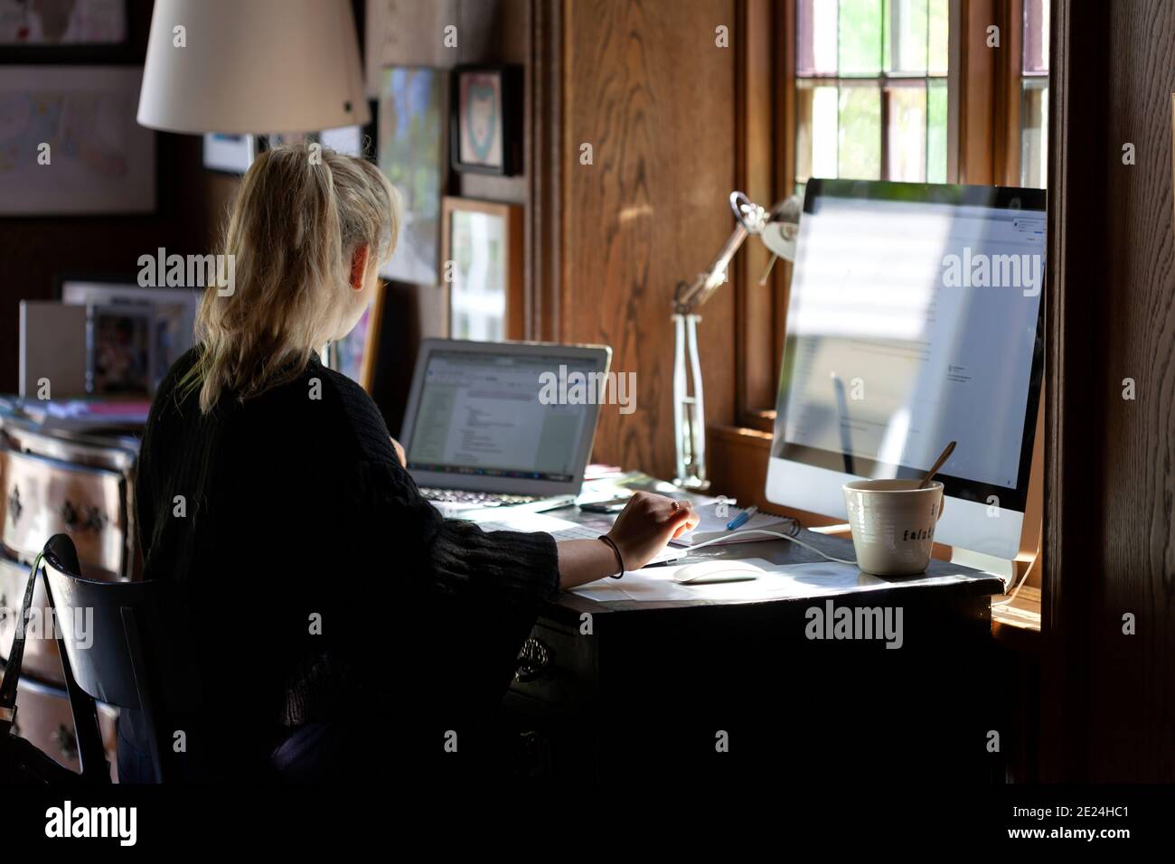 Femme à l'aide d'ordinateur à la maison Banque D'Images